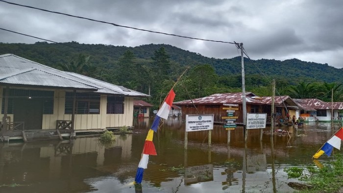 Daun penggemuk ayam di Wamesa, Kab. Teluk Bintuni
