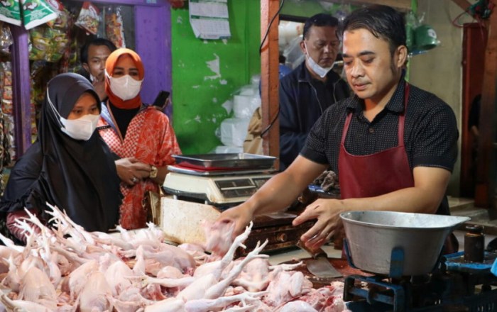 Januari-September 2022, 22.071 Ekor Ayam Afkir Dikirim ke Balikpapan ... Ayam afkir di Cimahi Selatan, Kota Cimahi