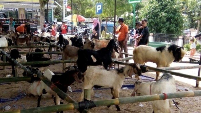 Daging kambing di Pardasuka, Pringsewu