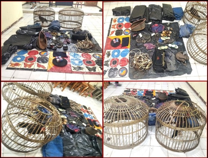 Polisi Gerebek Judi Sabung Ayam dan Judi Dadu Koprok Di Way Kanan ... Budidaya ayam di Blambangan Umpu, Way Kanan