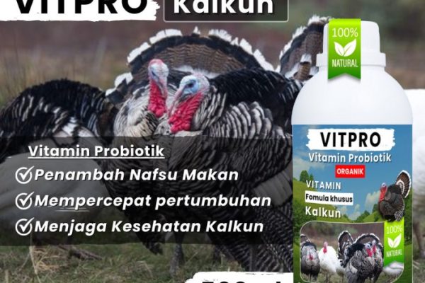 Daun penggemuk ayam di Tanasitolo, Wajo