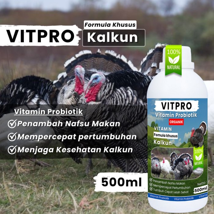 Jual VITPRO / VITAMIN TERNAK AYAM KALKUN / PENGGEMUK AYAM KALKUN TERNAK ... Daun penggemuk ayam di Tanasitolo, Wajo