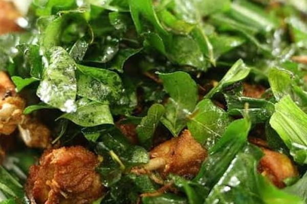 Daun penggemuk ayam di Tinggouw, Kab. Tambrauw