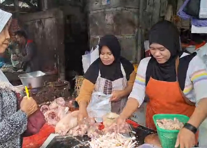 7 Bagian Hewan Kurban yang Haram Dimakan, Torpedo Kambing atau Sapi ... Daging kambing di Larangan, Brebes
