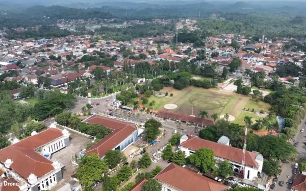 Daun penggemuk ayam di Sindangresmi, Kab. Pandeglang