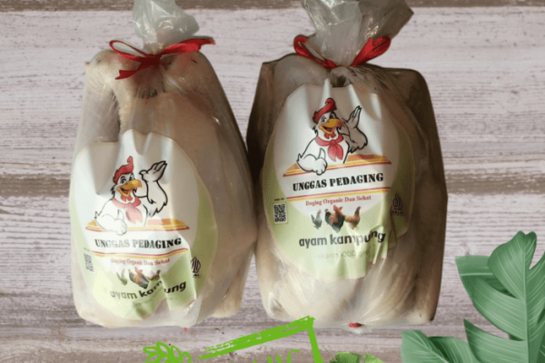 Daun penggemuk ayam di Kramongmongga, Kab. Fakfak