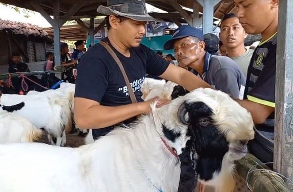Daging kambing di Blora, Kabupaten Blora