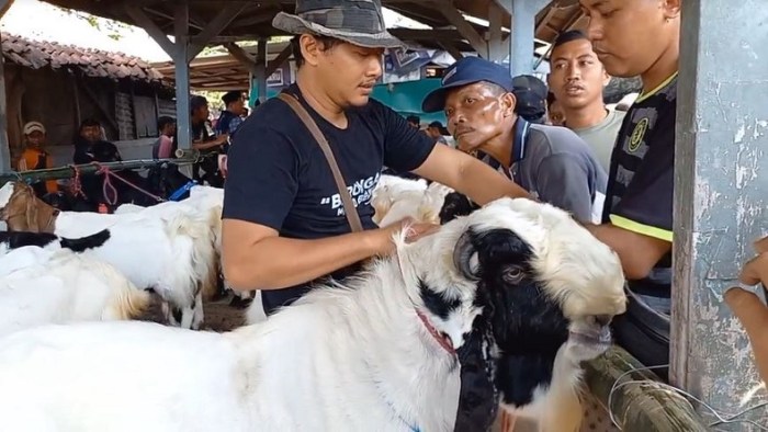 Daging kambing di Blora, Kabupaten Blora