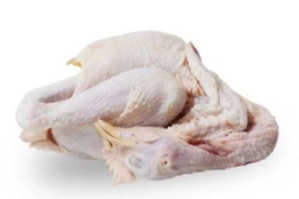 Bisnis Ayam Potong Kampung, Bisnis Rumahan Omzet Jutaan - Distributor ...