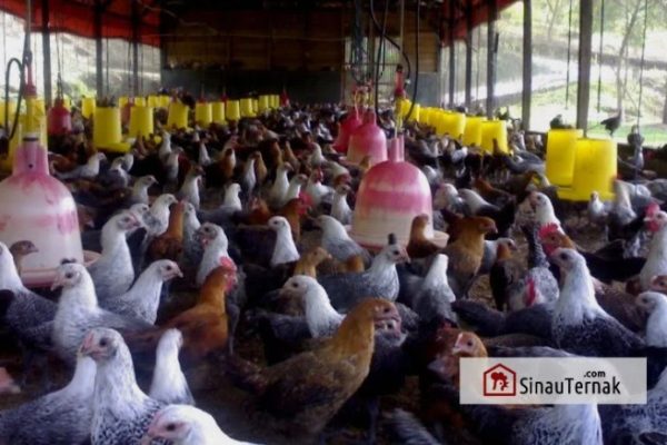 Lowongan Kerja di Sales Dan Marketing di PT.solok Premiere Wisata ...