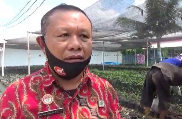 Kost Kota Bandar Lampung Kost Putra Murah Kost Paris Rajabasa Bandar ...