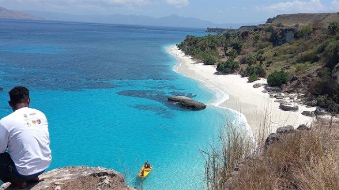 Daun penggemuk ayam di Pantar Barat Laut, Alor