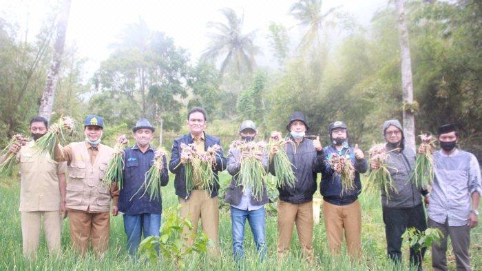 Daun penggemuk ayam di Pujananting, Barru