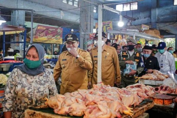 Daging kambing di Umbulsari, Jember
