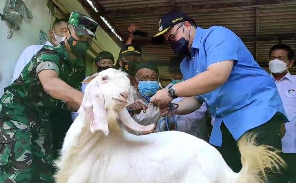 Daging kambing di Kota, Kota Kediri