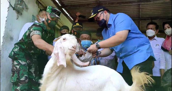 Daging kambing di Kota, Kota Kediri
