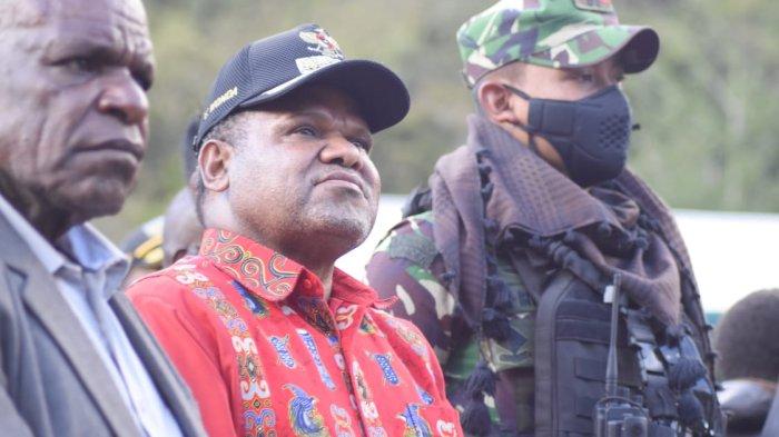 Daun penggemuk ayam di Yamo, Kab. Puncak Jaya