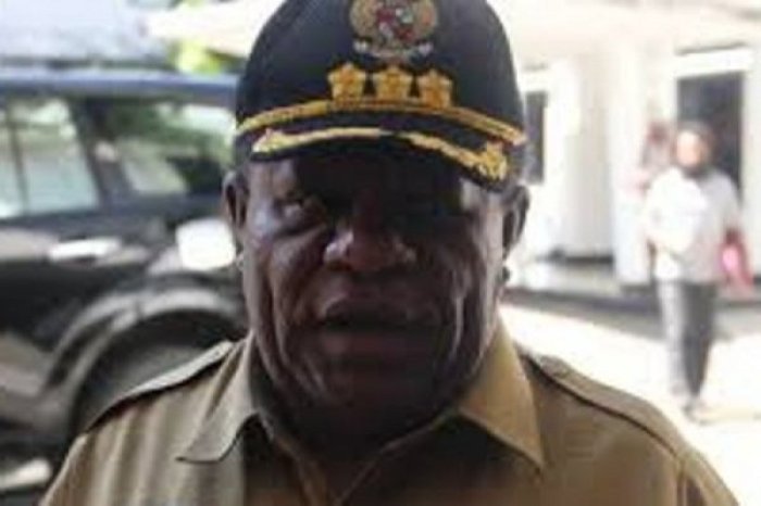 Daun penggemuk ayam di Paniai Timur, Kab. Paniai