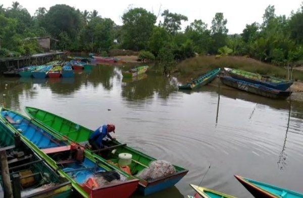 Daun penggemuk ayam di Tabalar, Berau