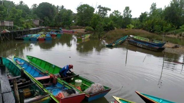Daun penggemuk ayam di Tabalar, Berau