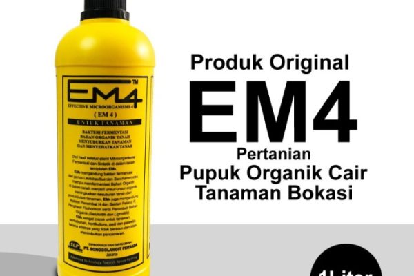 Em4 peternakan ayam di Galang, Kota Batam