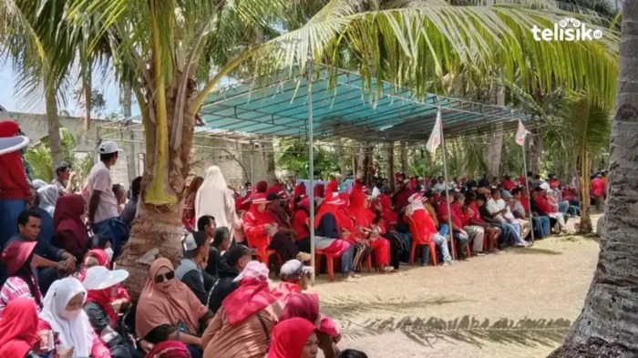 Polsek Wangsel Wakatobi Gerebek Judi Sabung Ayam di Tengah Hutan, Tak ... Daun penggemuk ayam di Kaledupa Selatan, Wakatobi
