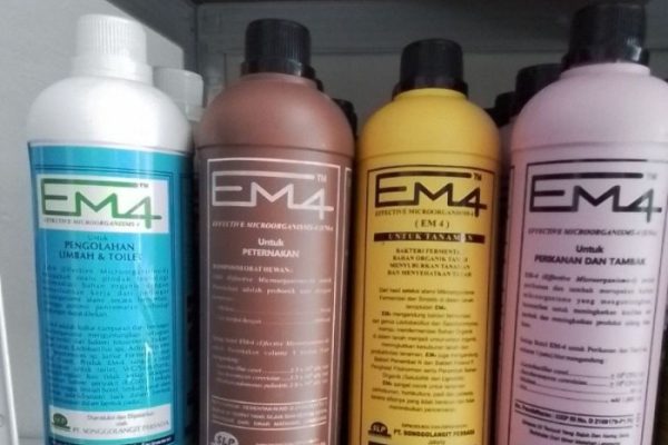 Em4 peternakan ayam di Sorek, Pelalawan