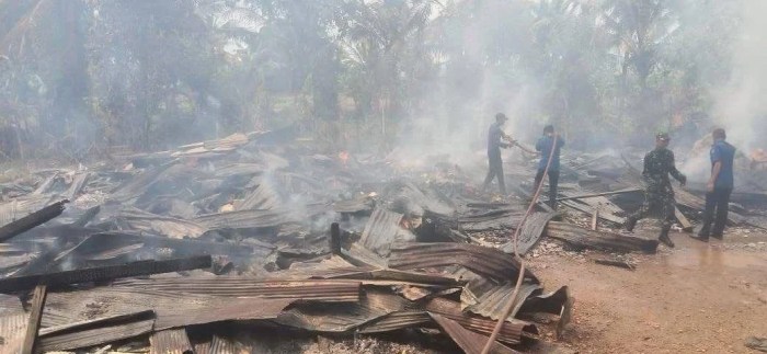 Daun penggemuk ayam di Tongauna, Konawe