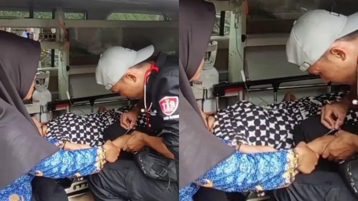 AJAIB !! Ayam Afkir Bertelur Kembali - YouTube