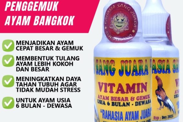 Daun penggemuk ayam di Sukikai Selatan, Kab. Dogiyai