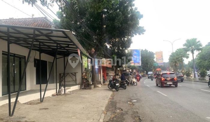 Ternak ayam petelur di Yamo, Kab. Puncak Jaya