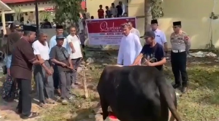 Daging kambing di Pedamaran, Ogan Komering Ilir