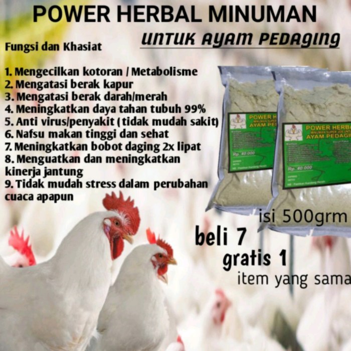 Daun penggemuk ayam di Hero Lange-Lange, Bulukumba