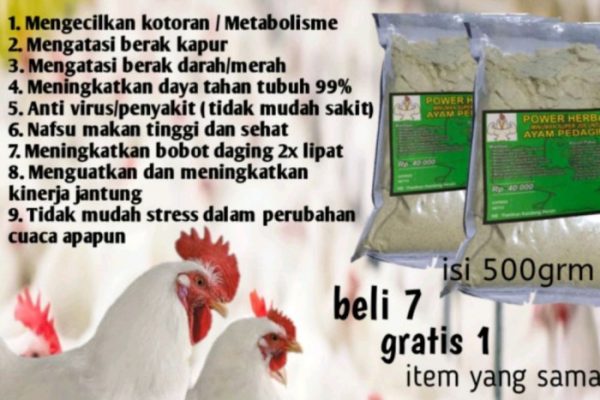 Daun penggemuk ayam di Cileles, Kab. Lebak