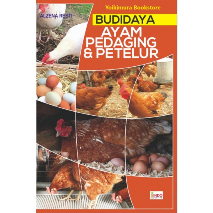 7 Tantangan Bisnis Budidaya Ayam Pedaging | Bisnis 7 Tantangan Bisnis Budidaya Ayam Pedaging | Bisnis