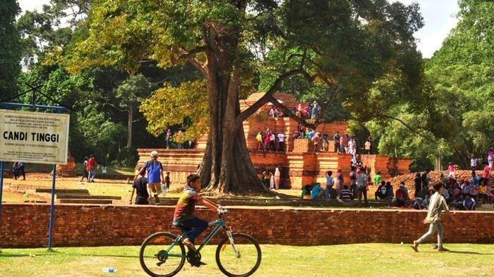 Ayam layer di Maro Sebo, Kabupaten Muaro Jambi