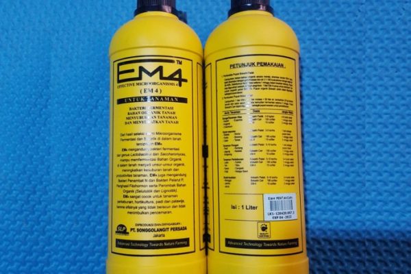 Em4 peternakan ayam di Sitiung, Kabupaten Dharmasraya