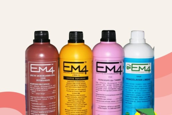 Em4 peternakan ayam di Jambi Selatan, Kota Jambi