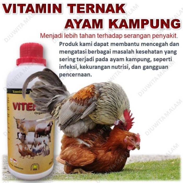 Kain Tenun Selendang NTT Lawas motif Ayotupas, Timor Tengah Selatan ... Daun penggemuk ayam di Amanatun Selatan, Timor Tengah Selatan