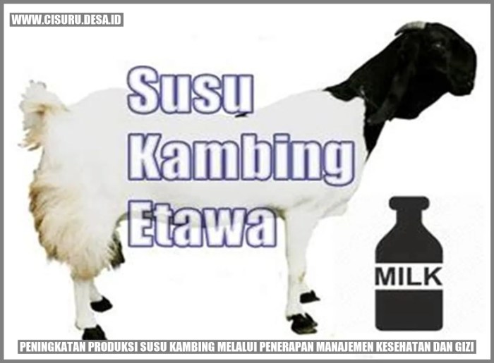Susu kambing di Krian, Sidoarjo