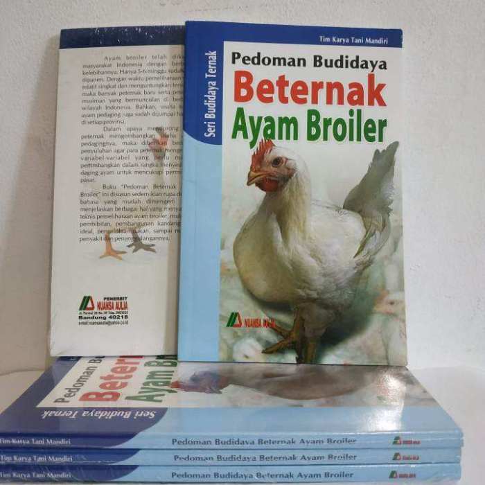 Panduan Cara Ternak Ayam Broiler Pedaging Menguntungkan untuk Pemula ... Panduan Cara Ternak Ayam Broiler Pedaging Menguntungkan untuk Pemula ...