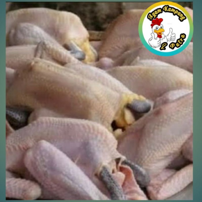 Jual Ayam kampung fresh 1000 - 1100gram | Shopee Indonesia