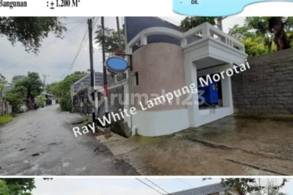 Budidaya ayam di Gedung Surian, Lampung Barat