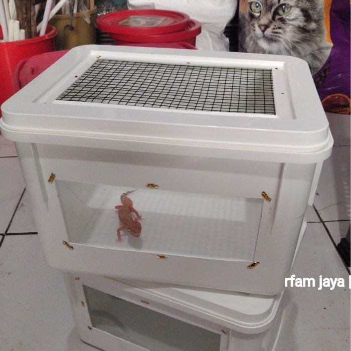 Kandang Hamster Rumah Landak Mini Box Anakan Burung Reptil Type F ...