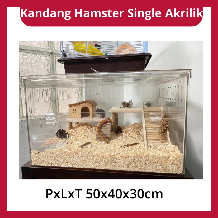 Kandang hamster, reptil, Gecko akrilik