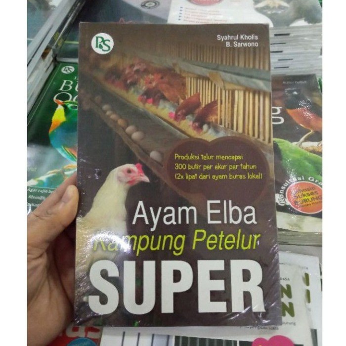 Ayam elba kampung petelur super di Gondang, Nganjuk