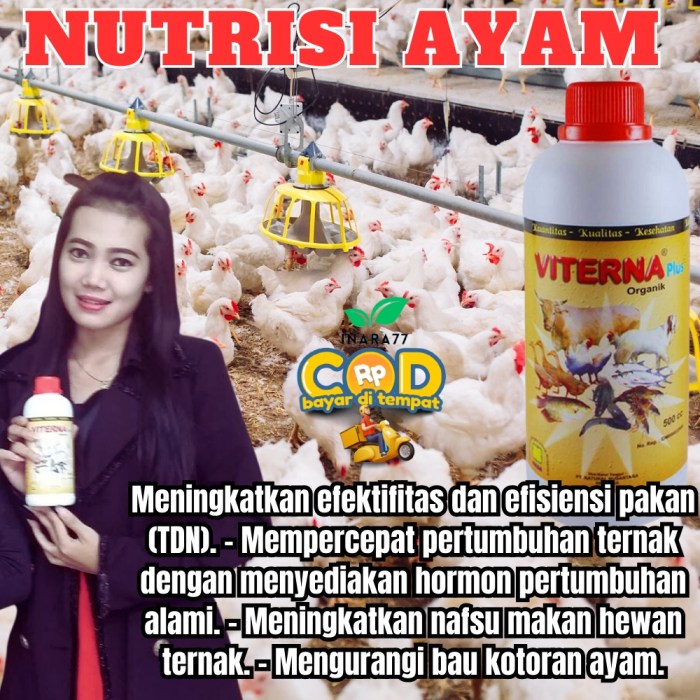 Daun penggemuk ayam di Jita, Kab. Mimika