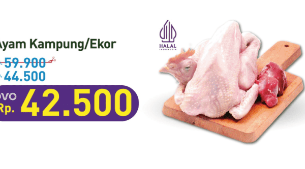 Harga ayam kampung potong di Kotabaru, Karawang