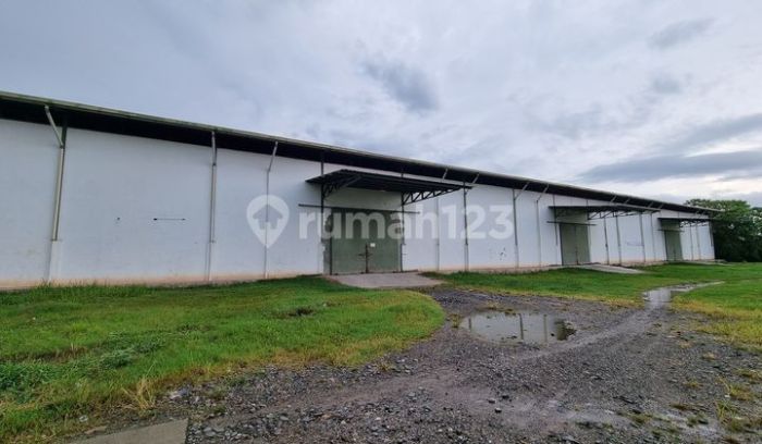 Peselancar Asing Ditemukan Meninggal di Perairan Mentawai - Arunala Peselancar Asing Ditemukan Meninggal di Perairan Mentawai - Arunala