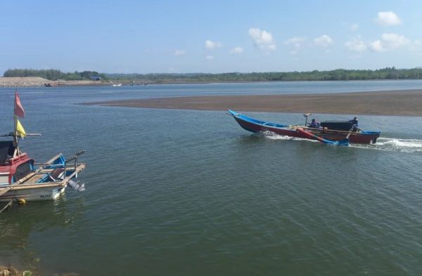 Daun penggemuk ayam di Mepanga, Paringi Moutong